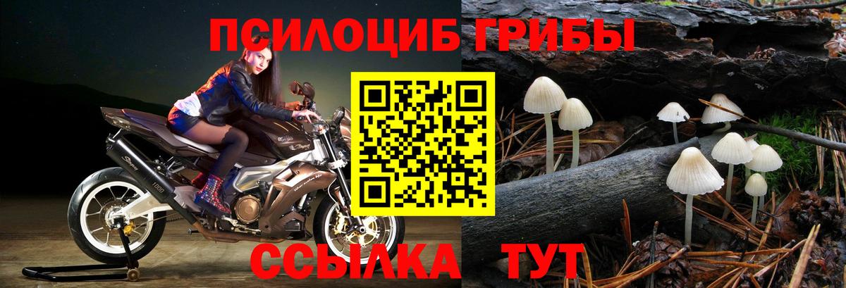 Псилоцибиновые грибы MAGIC MUSHROOMS  Псилоцибиновые грибы Psilocybine cubensis  купить наркоту  Вход с VPN  Воркута 